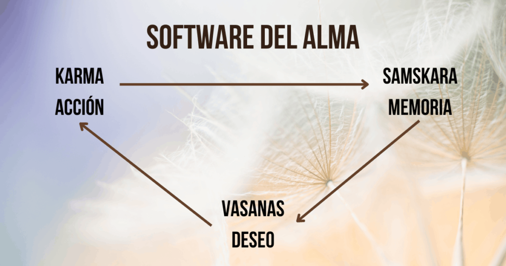 Software del Alma