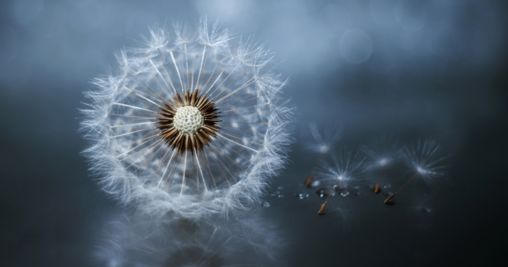 Leyes espirituales
